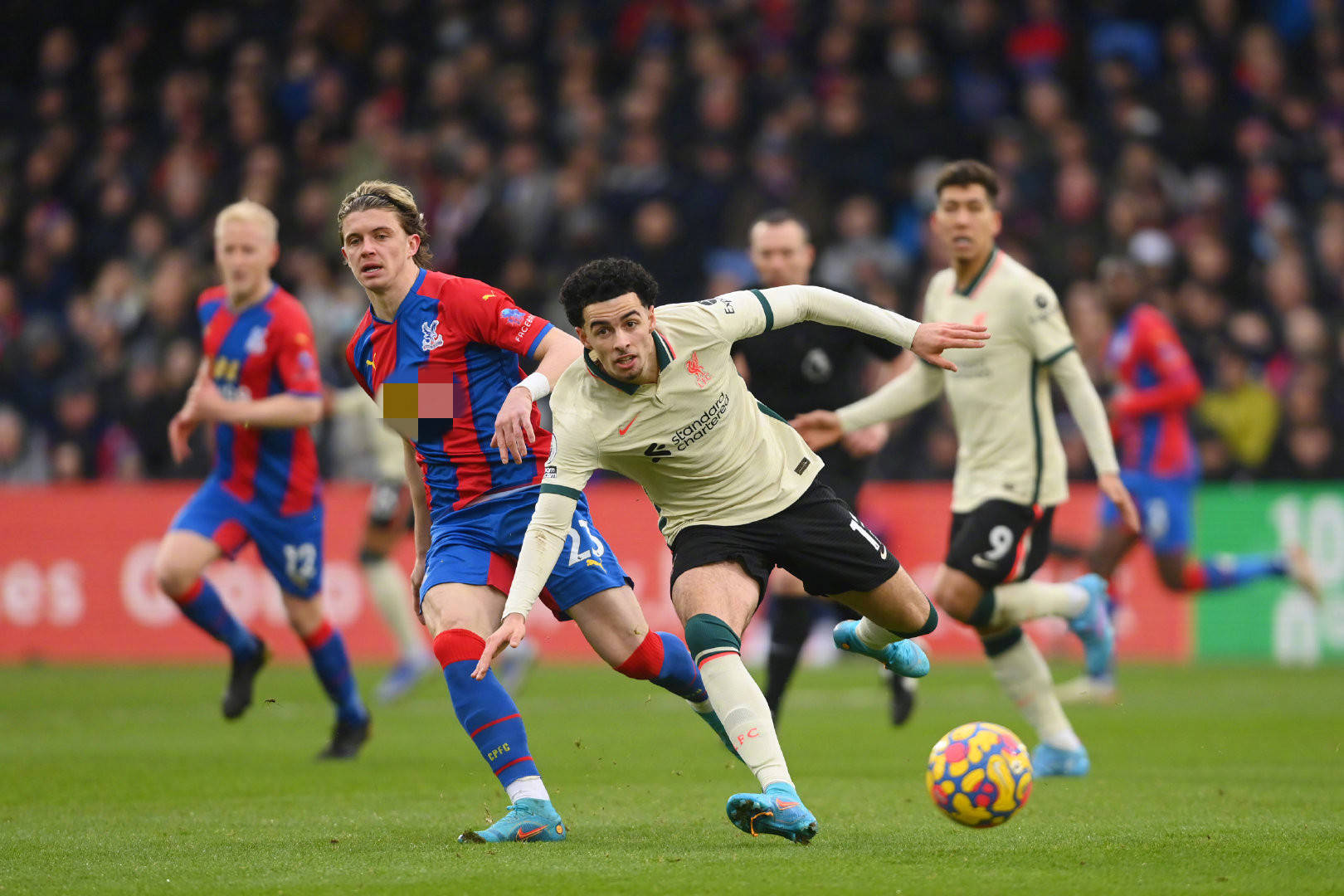 将会为球队 将会为球队